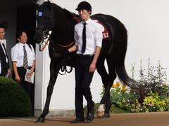 20150927 中山11R オールカマー サトノノブレス 03