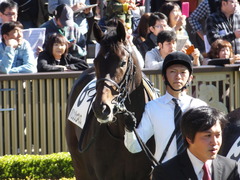 20161112 東京5R 2歳メイクデビュー パリンジェネシス 03
