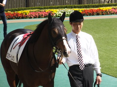 20141025 東京5R ロジダーリング 08