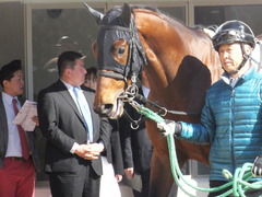 20150125 中山5R 3歳未勝利 トーセンカナロア 06