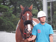 20180814 大井8R 東京記念TR 3歳上OP ユーロビート 11