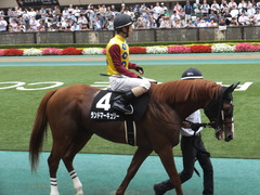 20150627 東京11R 夏至S ランドマーキュリー 10