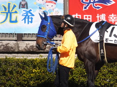 20170204 東京4R 4歳上障害未勝利 モーゼス 07