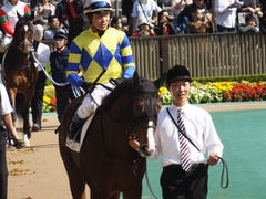 20141025 東京5R ロジダーリング 11