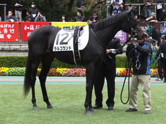 20151031 東京5R 2歳メイクデビュー ラルゴランド 10