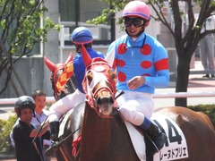 20160618 阪神8R 3歳上牝馬500万下 レーヌドブリエ 26