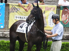 20170625 東京6R 3歳未勝利 ファインパープル 14
