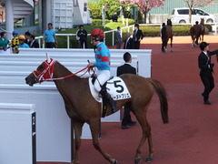 20150404 阪神4R 3歳未勝利 レーヌドブリエ 19