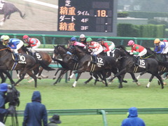20180929 中山10R 習志野特別(1000) ダブルシャープ 12