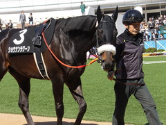 20140405 中山9R 山吹賞 ショウナンラグーン 08