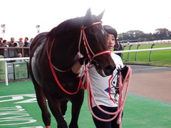 20171104 東京9R 南武特別(1000) ホウオウドリーム 19