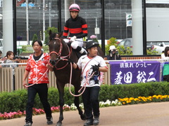 20170624 函館10R 湯川特別(500) ホウオウドリーム 23