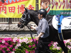 20150426 東京6R 3歳500万下 ファインライナー 05