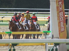 20190126 東京5R 3歳未勝利 ピンシェル 25