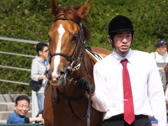 20150425 京都1R 3歳未勝利 ノアズアーク 02