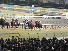 20150125 中山11R AJCC(G2) ゴールドシップ 09