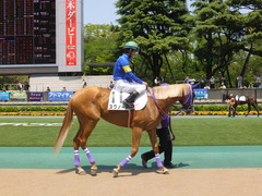 20140426 東京4R スクノード 12