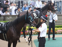 20161008 東京10R 本栖湖(500) トレジャーマップ 07