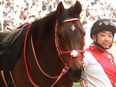 20180401 阪神10R 御堂筋S(1600) ホウオウドリーム 14