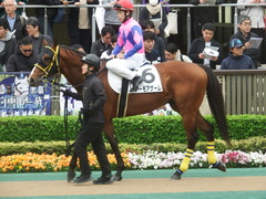 20190427 東京12R (1000) ノーモアゲーム 16