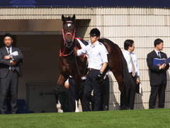 20151024 京都5R 2歳メイクデビュー ピッツバーグ 02