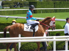 20150425 京都4R 3歳未勝利 レーヌドブリエ 14