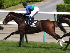20170416 中山8R 鷹巣山特別 (1000) トーセンカナロア 18