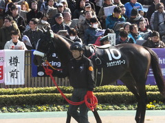20140223 東京9R ショウナンラグーン 05