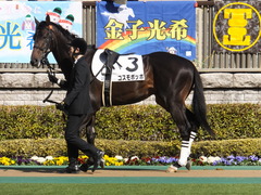 20150221 東京2R 3歳未勝利 コスモポッポ 04