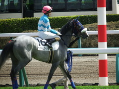 20180324 中山3R 3歳未勝利 ウェディングベール 14