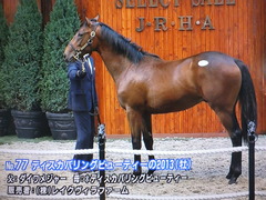 ダイワメジャー&ディスカバリングビューティー