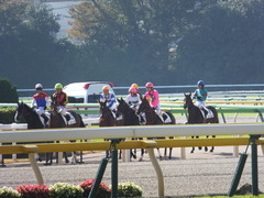 20131116 東京 サンドラバローズ16