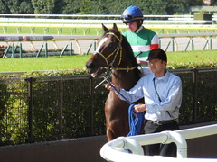 20141116 東京1R ラッシュアタック 11