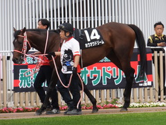 20170624 函館10R 湯川特別(500) ホウオウドリーム 11