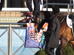 20160124 中山12R 4歳上1000万下 ロジダーリング 06