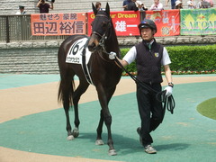 20190511 東京5R 3歳未勝利 ホウオウヒミコ 05