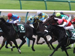 20150913 中山11R 京成杯AHC(G3) アルマディヴァン 17