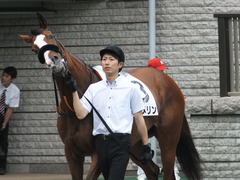 20170625 東京1R 3歳牝馬未勝利 プンメリン 05