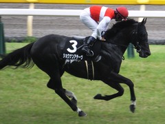 20170625 東京11R パラダイスS 3歳上(OP) ショウナンアチーヴ 18