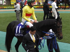 20141102 東京11R天皇賞(秋) ラブイズブーシェ 05
