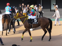 20151004 中山9R サフラン賞 2歳500万下 テイケイレーヴ 15