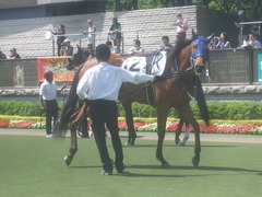 20120519 東京 メジロカトリーヌ