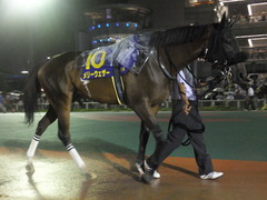 20140827 大井11R 重賞 メリーウェザー 05