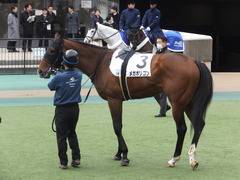20170205 東京1R 3歳未勝利 メガポリゴン 13