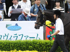 20160605 東京4R 3歳未勝利 ツボミ 05