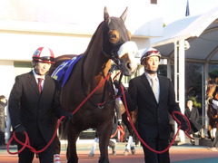 20151229 大井10R 東京大賞典 (G1) ユーロビート 06