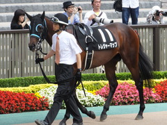 20150620 東京9R 八丈島特別 トレジャーマップ 04