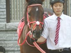 20180527 東京12R 目黒記念(G2) ホウオウドリーム 12