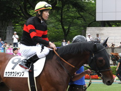 20170618 東京4R 3歳未勝利 ホウオウジャンプ 11