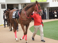 20190310 中山11R アネモネS 3歳牝馬OP オトナノジジョウ 12